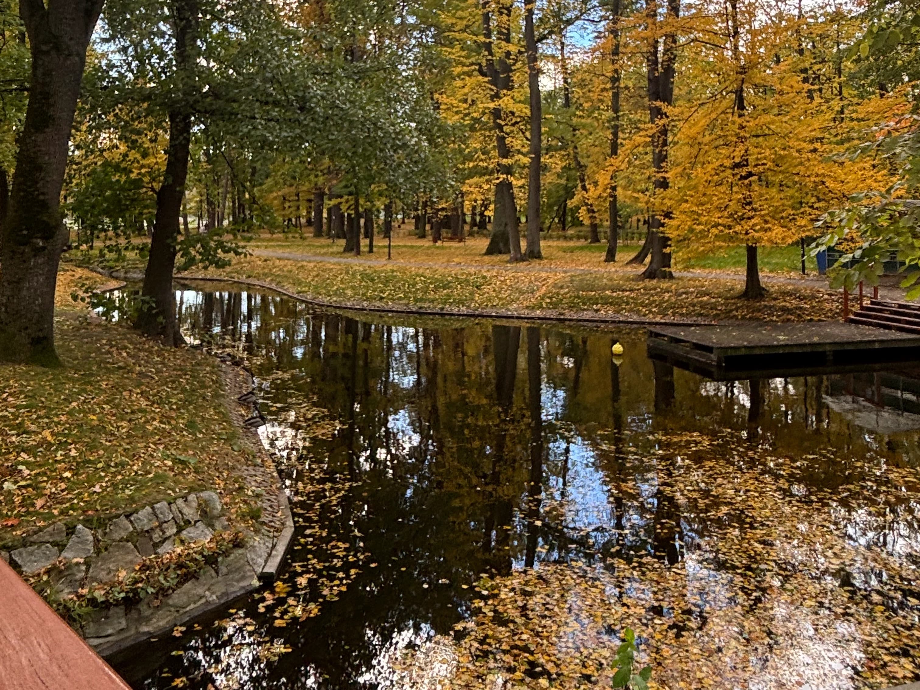 Park Linowy w Parku Miejskim w Bielawie